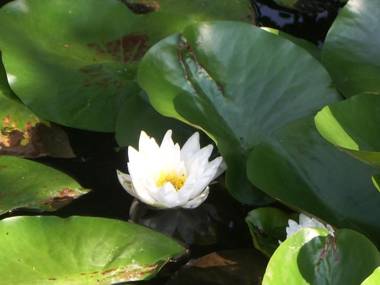 Hotel zum Buchenberg