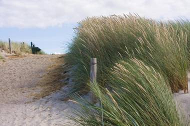 Vakantiedomein Hoge Duin