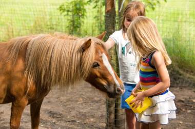 Hoevedomein Polderrust