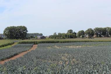 B&B 't Goedhof