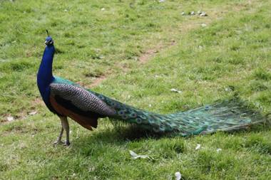 Hotel Landhuis 't Wilgenerf