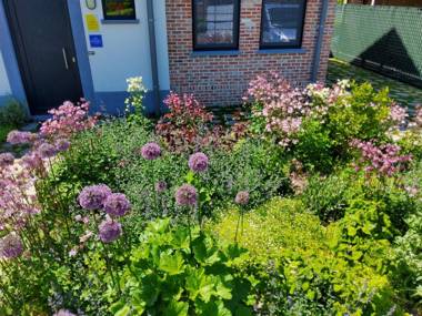 Holiday Home LIMBURG LILLO IRENE