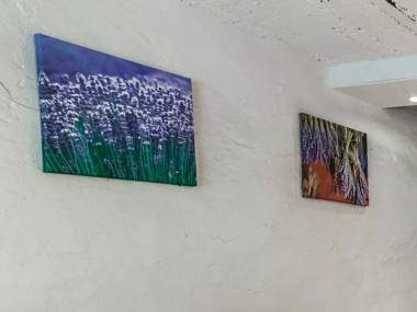 Cosy Holiday Home in Cherain near Forest