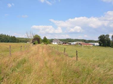 Comfy Farmhouse with Terrace Garden Courtyard Barbecue