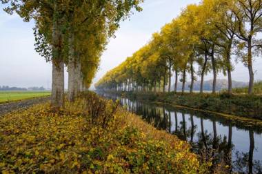 Boutique hotel Shamon