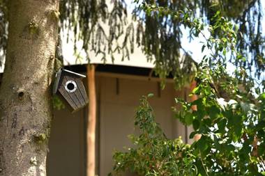 Green Fields - Durbuy