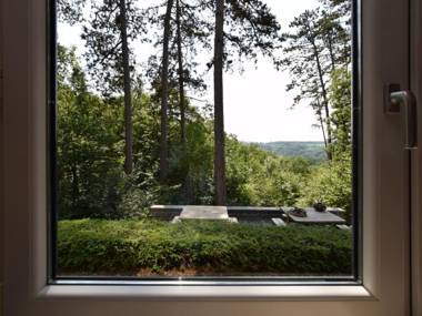 Beautiful modern house with stunning views hot tub and sauna in green surroundings