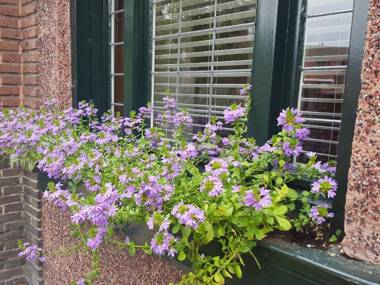 Vakantiewoning Guesthouse MOMO