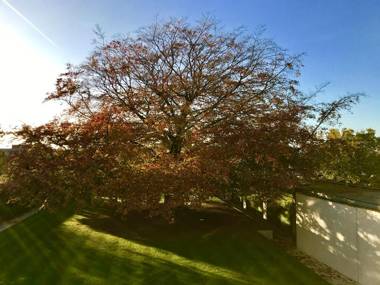 Notarishuys "Pure Hotel"