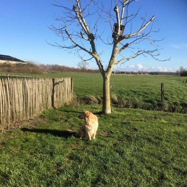 Vakantiehuis Loft André