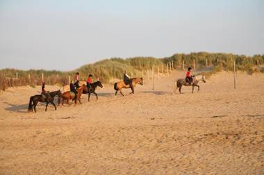 Appartement Dahlia Terras