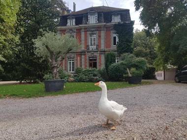 Château Lambert Hotel-Resto-Parking-Shuttle a 1 ha green Oasis at 8 min from CRL Airport without any noise