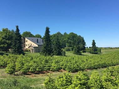 Quiet lain holiday house with a beautiful view concerning the Ardense bunches.