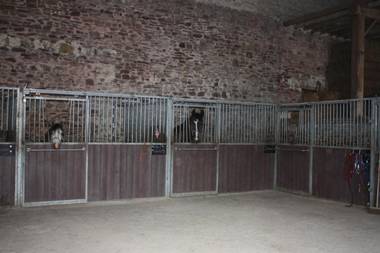 Vakantieboerderij Ferme Le Bleuet