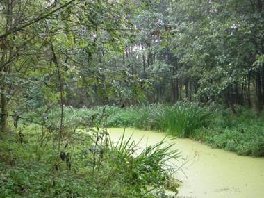 Petrus Wittebrood Hoeve