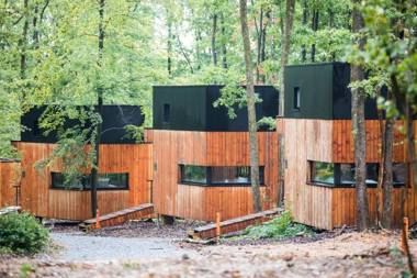 Forest Cube