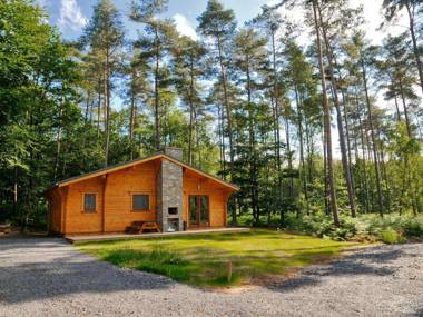 Modern wooden chalet with wood burning stove in the forest