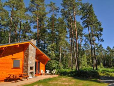 Modern wooden chalet with wood burning stove in the forest