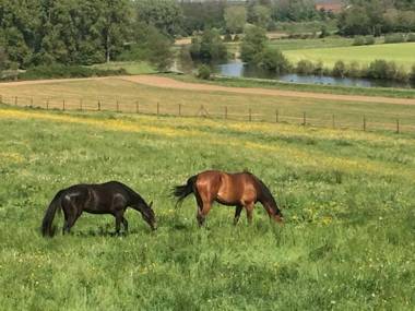 Le pré en bulles gîte avec piscine brasserie et restaurant à Labuissière