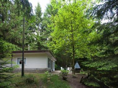 Peacefully chalet situated in the center of the forest of the Kempen