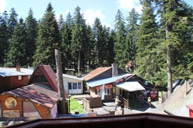 PM Services Royal Plaza Apartments