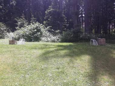 Villa Park Guest Apartments