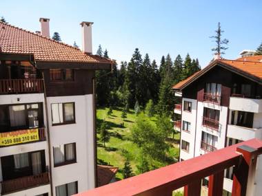 Flora Daisy Apartment nr 28