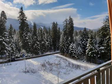 Rivendell Apartments Borovets Gardens complex