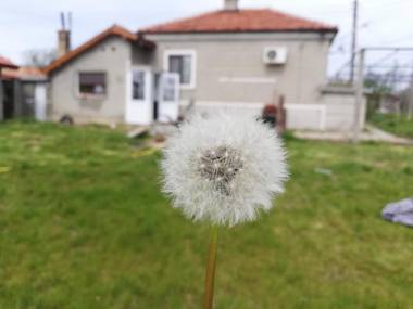 Къща за гости Ilios