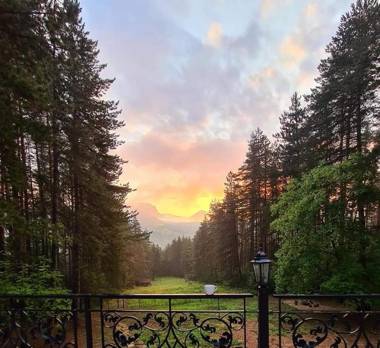 Arboretum Villa & SPA