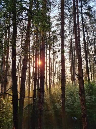 Arboretum Villa & SPA