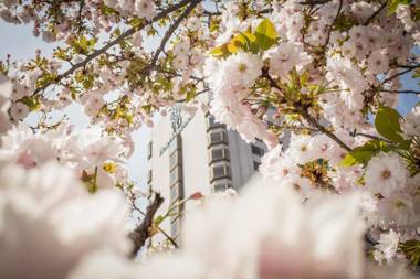 Hotel Marinela Sofia