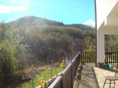 Family Hotel and Restaurant Plamena