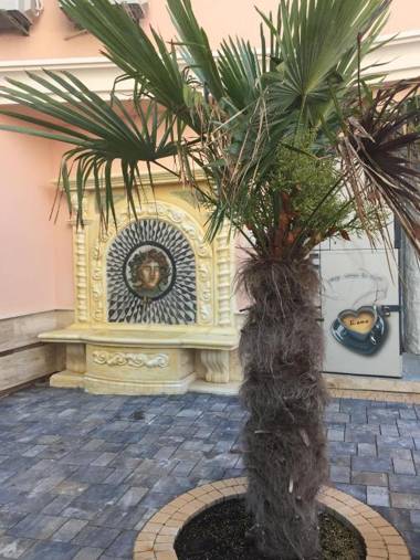 Sirena Palace Family Hotel