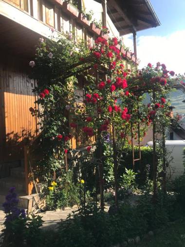 Guest House Roden Dom