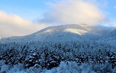 Saint George Palace Aparthotel