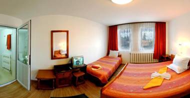 Hotel Alpin - 91 Bansko