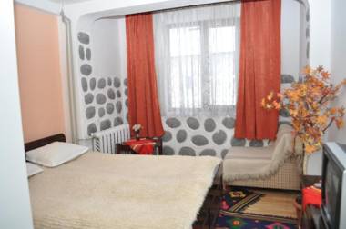 Hotel Alpin - 91 Bansko