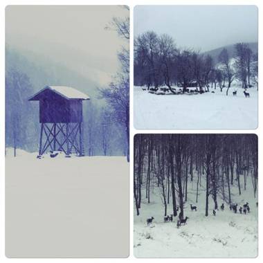 Guest House Valevtsi