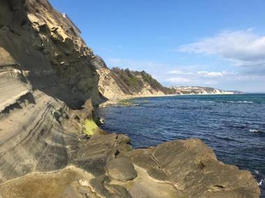 Byala COZY APARTMENT