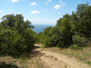 Coral Beach Apartment