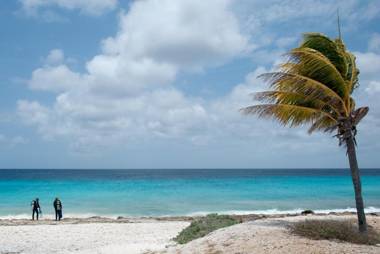 Blachi Koko Apartments