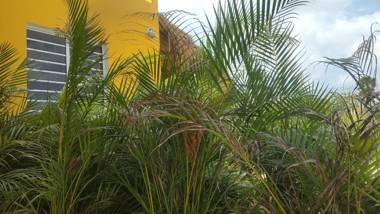 Kas Tuna Sabalpalm villas Bonaire