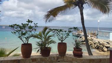 Den Laman - Balloonfish