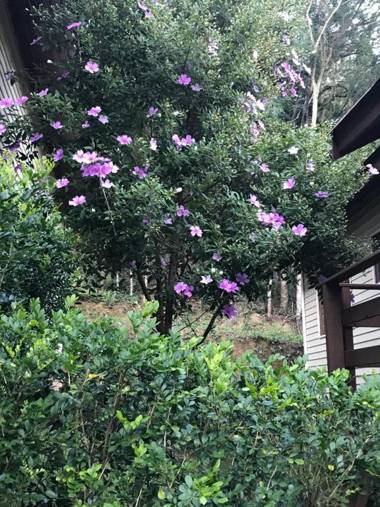 SuaCasita - JARDINS 5 LAGOS