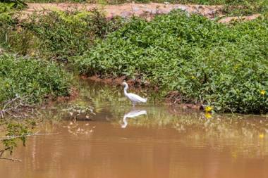 Villaggio Serra da Cantareira
