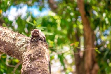 Pousada Villa Maeva Itacimirim