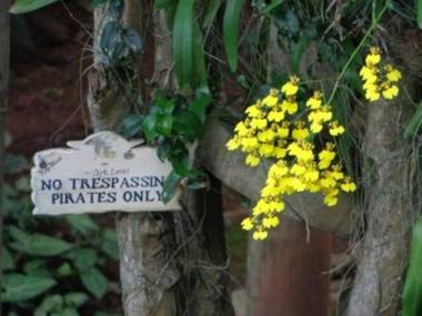 casa da sereia Mermaid Lounge