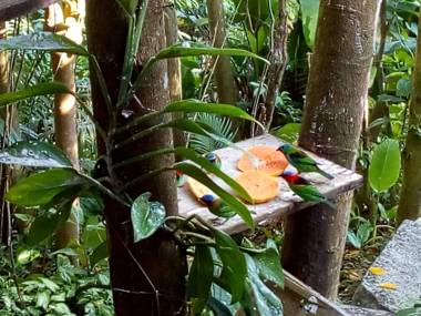 Pousada Ubatuba do Alto