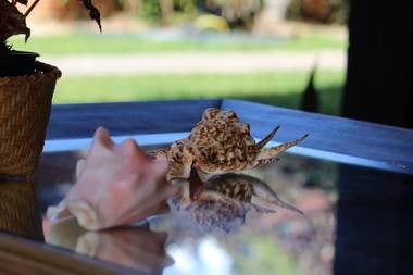 Pousada Ubatuba Paradise